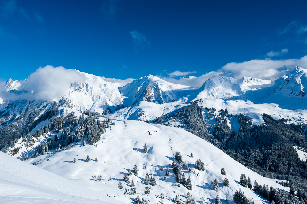 _D700264.jpg