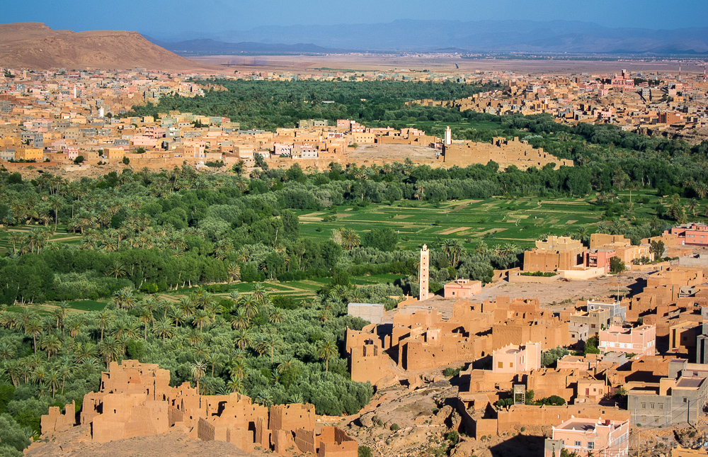 Palmeraie de Tineghir