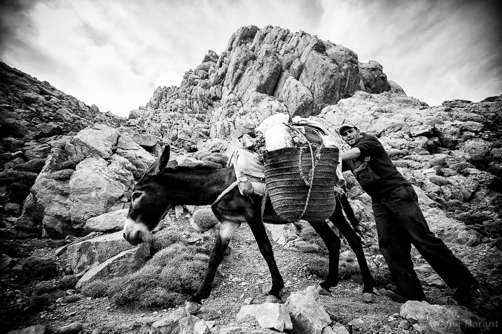 Ahmed et sa mule