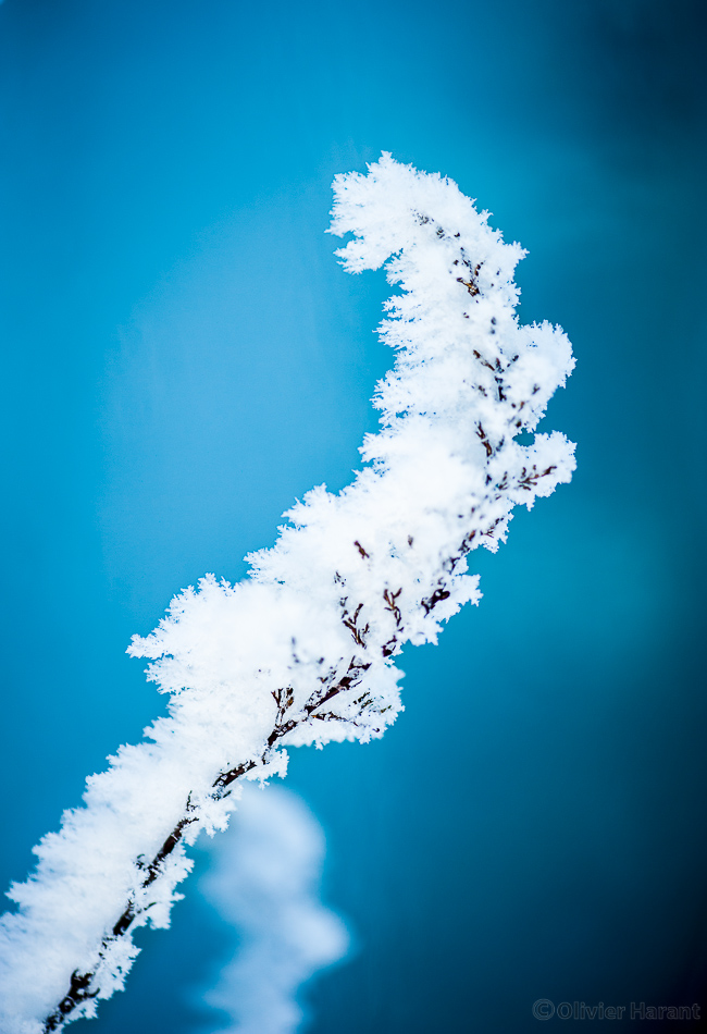 Givre.