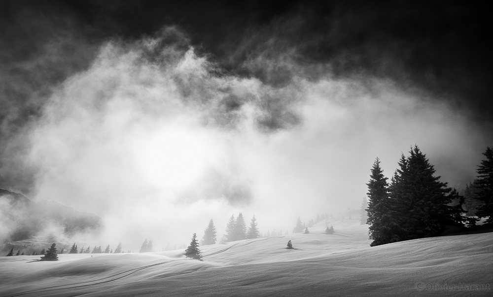 Ambiance nordique et sauvage.