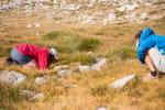 Observation de plantes carnivores